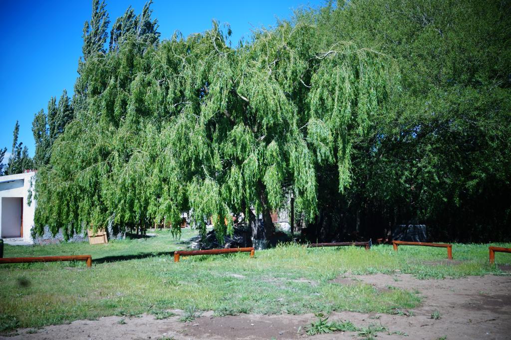 Los Amigos Hotel Los Antiguos Zewnętrze zdjęcie